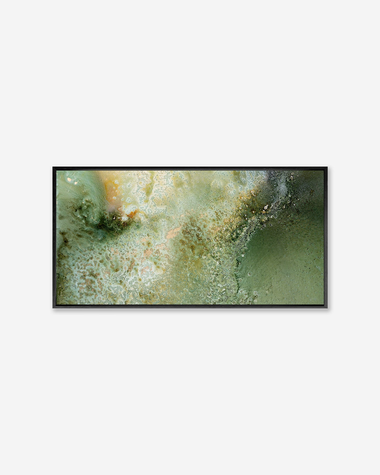 FERN — Pano Framed Canvas Print