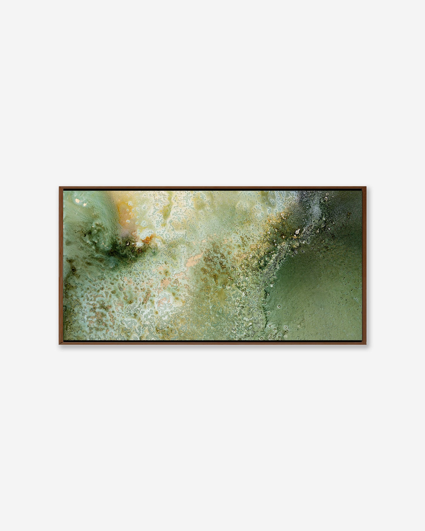 FERN — Pano Framed Canvas Print
