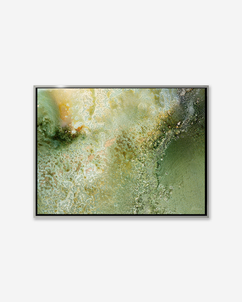 FERN — Framed Canvas Print