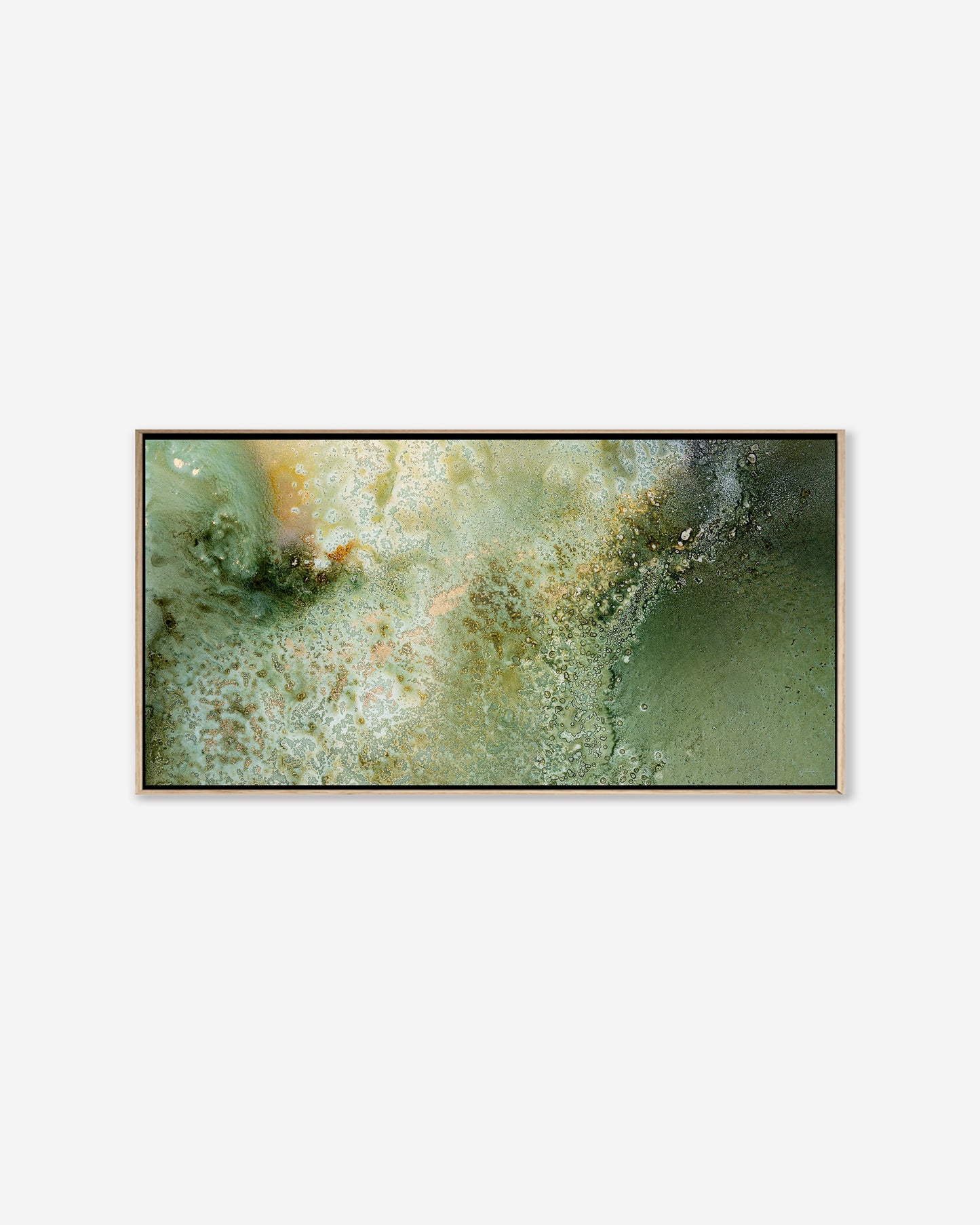 FERN — Pano Framed Canvas Print