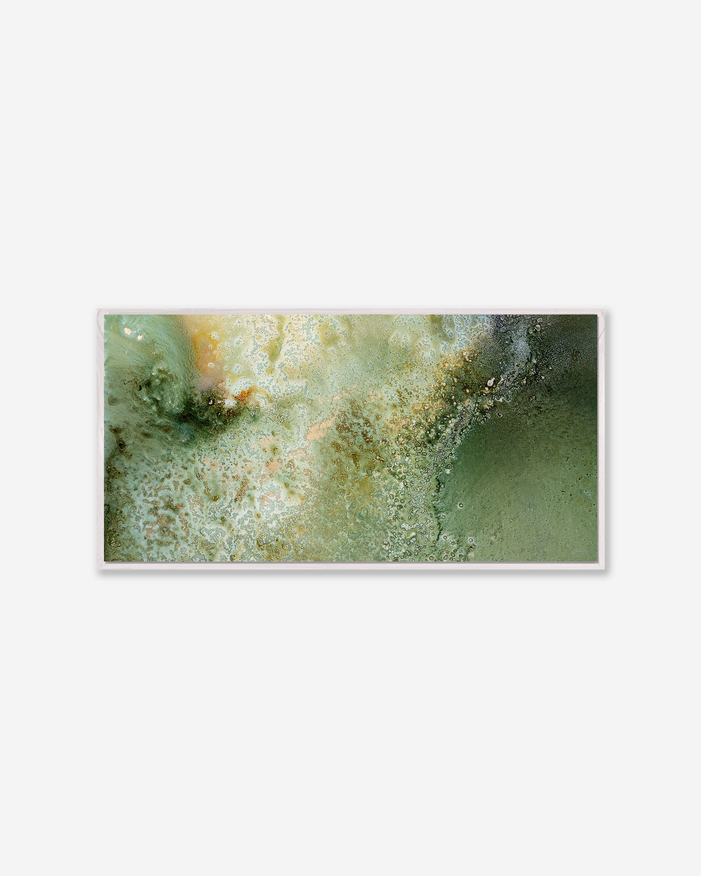 FERN — Pano Framed Canvas Print