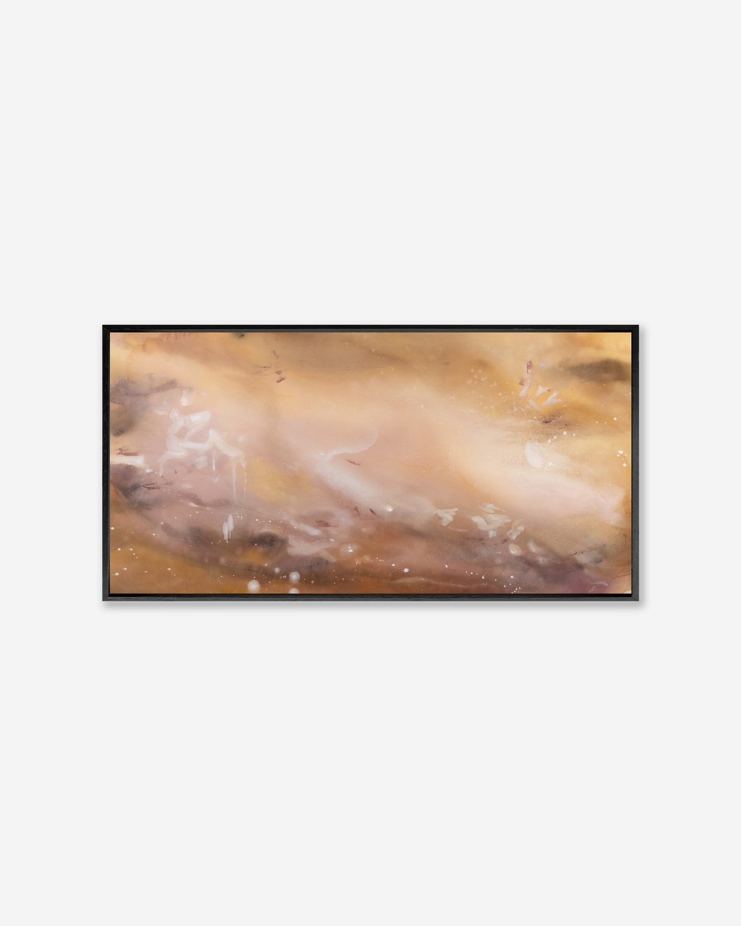 Desert Bloom  — Pano Framed Canvas Print