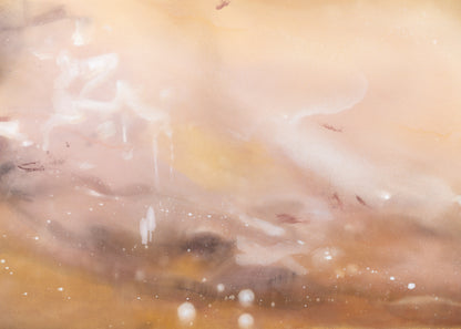 Desert Bloom— Framed Canvas Print