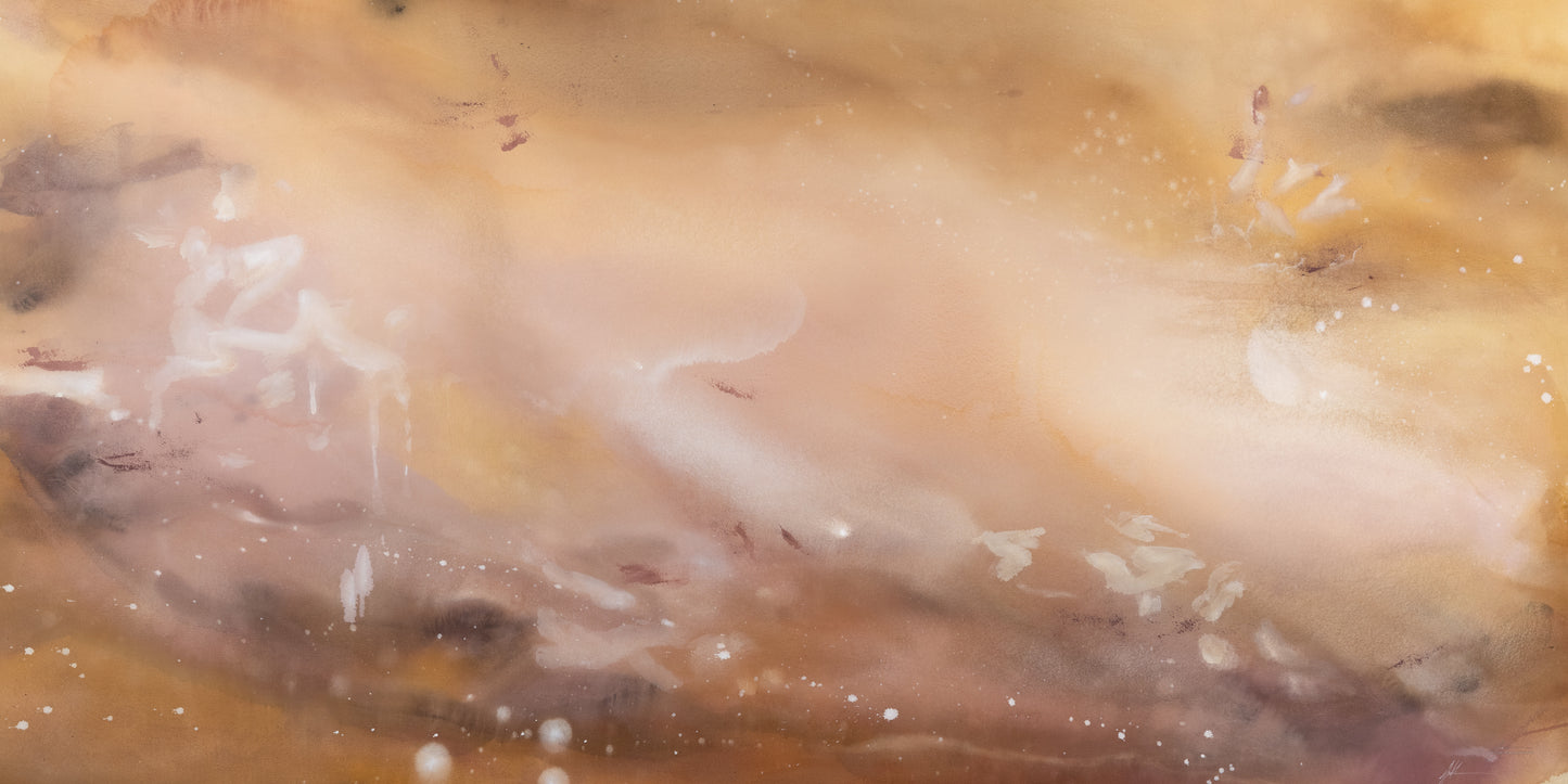 Desert Bloom  — Pano Framed Canvas Print