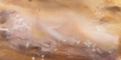 Desert Bloom  — Pano Framed Canvas Print