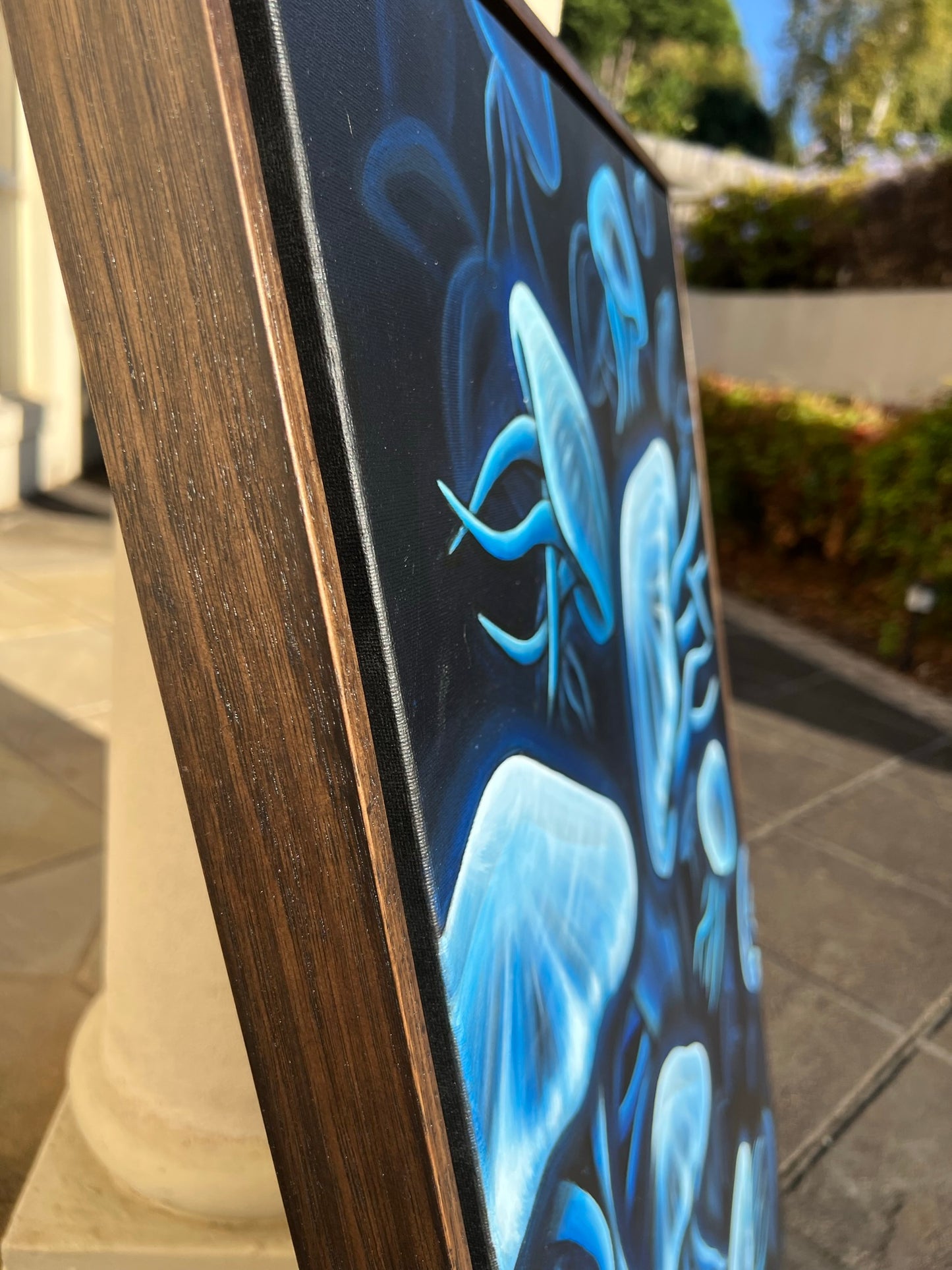 Jellyfish Luminous - Floating Frame Included