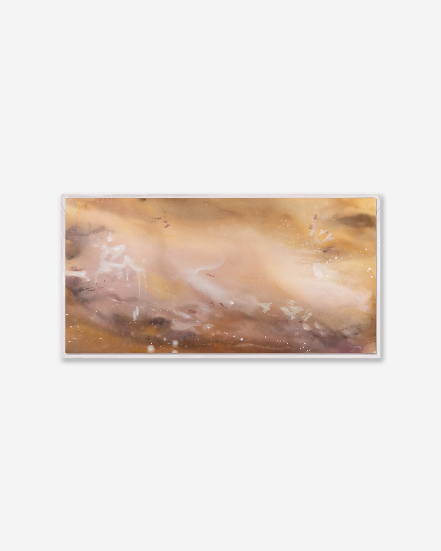 Desert Bloom  — Pano Framed Canvas Print